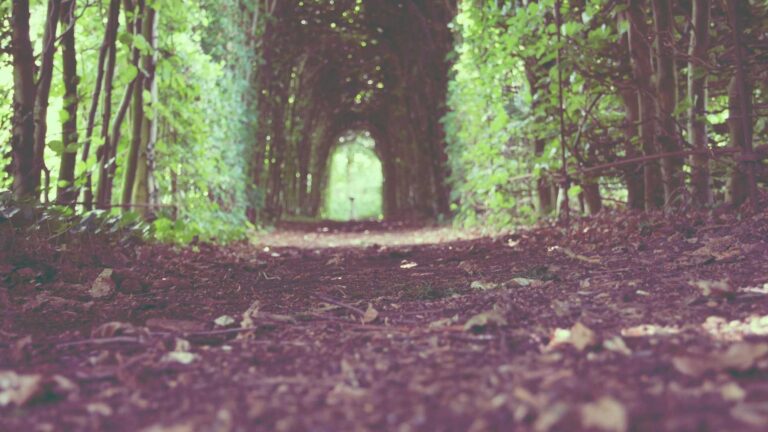 14c8951e-47b2-3aa9-99ce-f2962ccb6b70