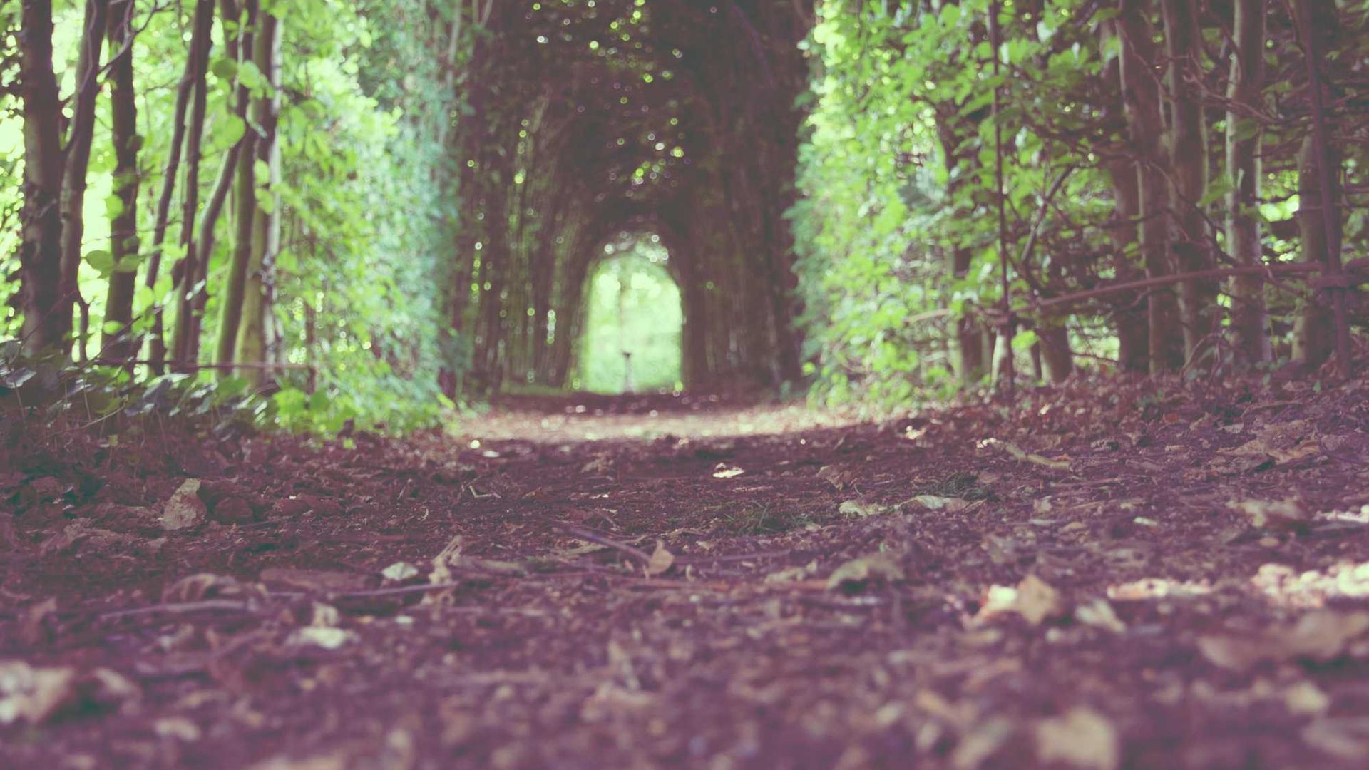 14c8951e-47b2-3aa9-99ce-f2962ccb6b70