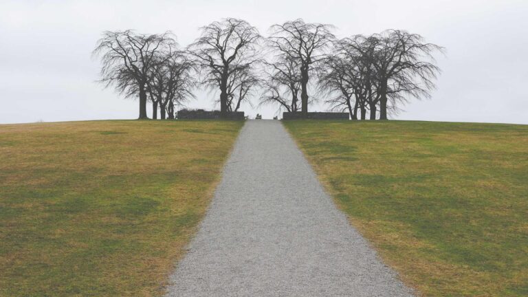 1923aca2-2e7d-350f-89ba-a14e7d90c0fa