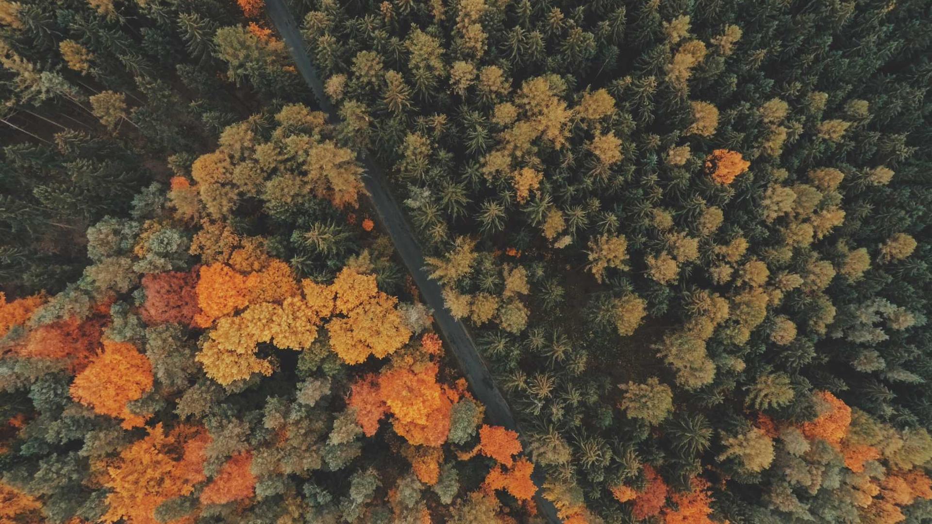 43831973-3d2c-3a4a-a8a9-a99adcc9081e