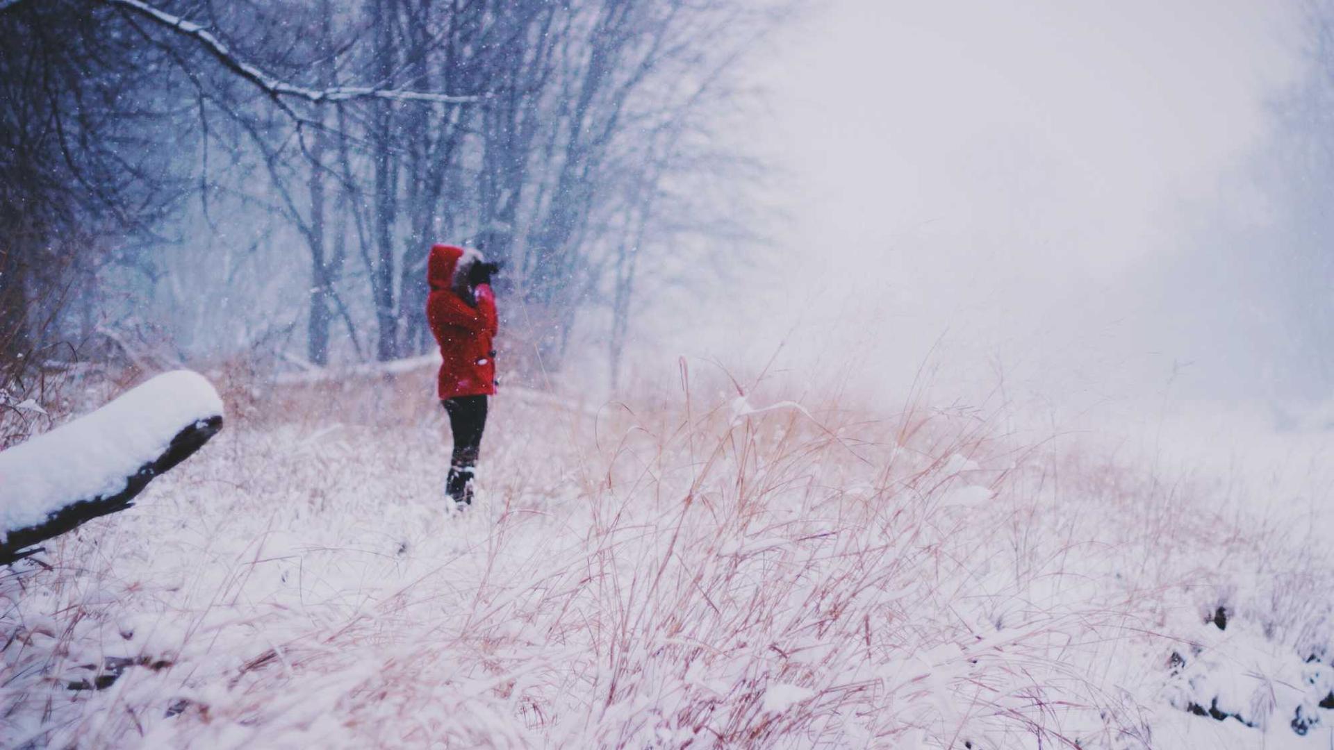 bca99302-aa72-3497-ae5d-809d4487969c