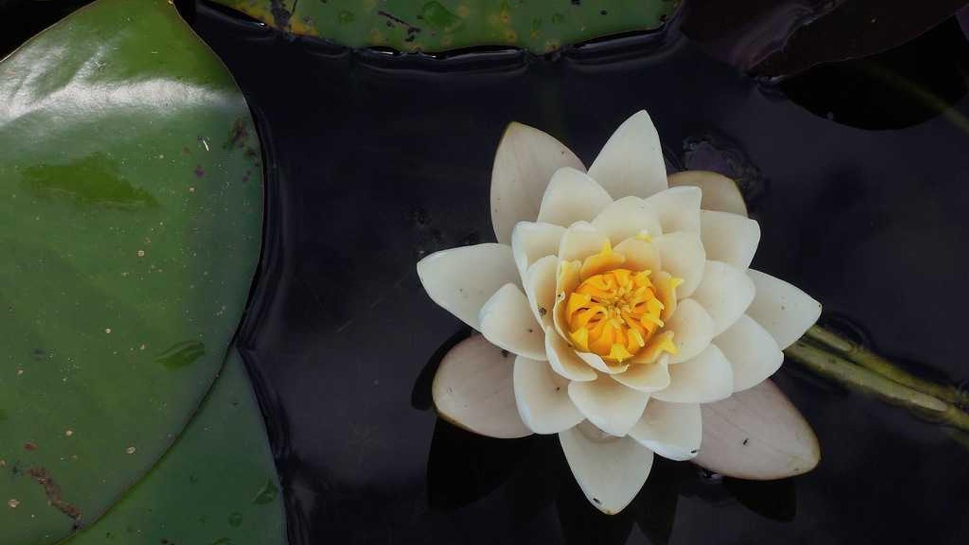 dbb0b8db-7b57-303c-afe2-b09e25bfd06d